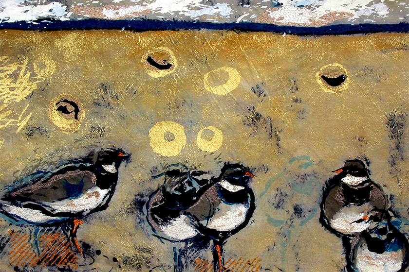 Ringed Plovers, Whitestrand - Detail